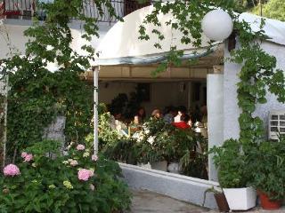 Pansion Mimoza Bed & Breakfast Herceg Novi